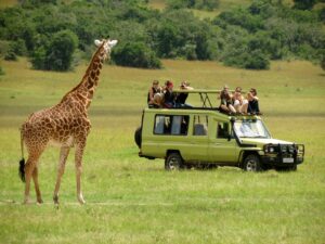 Read more about the article Top Wildlife Safari Activities in Uganda: Your Ultimate Adventure Guide